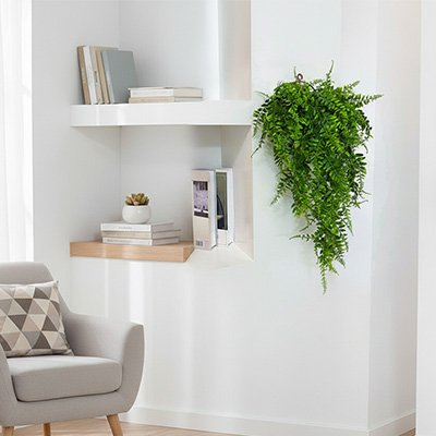 Plante artificielle tombante